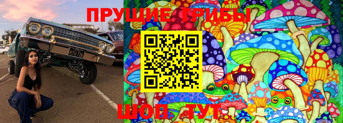 Псилоцибиновые грибы GOLDEN TEACHER Лесосибирск